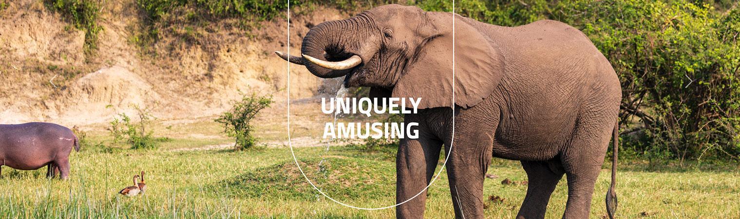 Uganda’s Wildlife